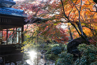 秋の特別拝観～秋風そよぐ、朝坐禅～